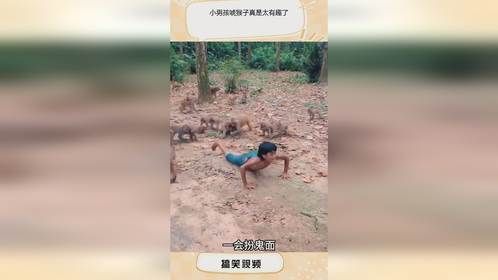 小男孩唬猴子真是太有趣了