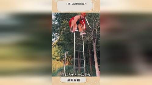 不得不说这也太厉害了