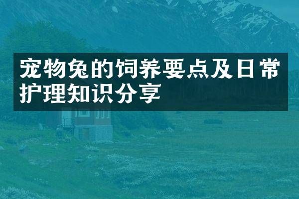 宠物兔的饲养要点及日常护理知识分享