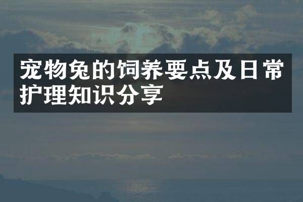 宠物兔的饲养要点及日常护理知识分享