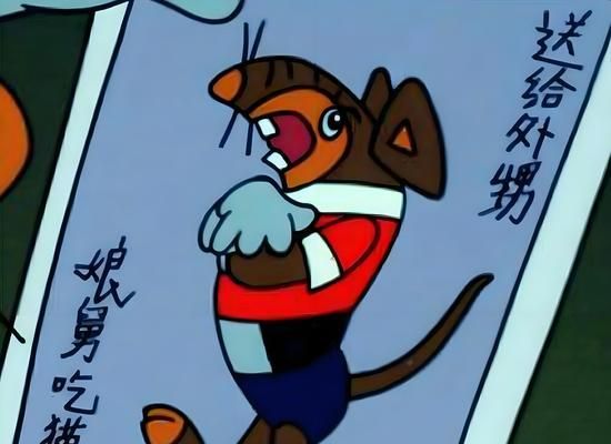 老鼠偷吃猫粮该如何处理？