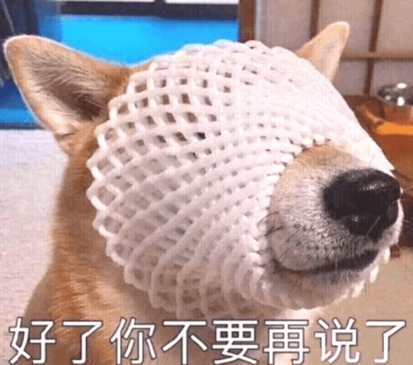 主人让土狗自己挑选姓名，见到它的挑选后立即笑喷了