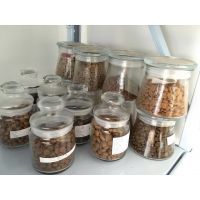 青岛彬利狗粮猫粮一站式OEM代加工山东狗粮代加工