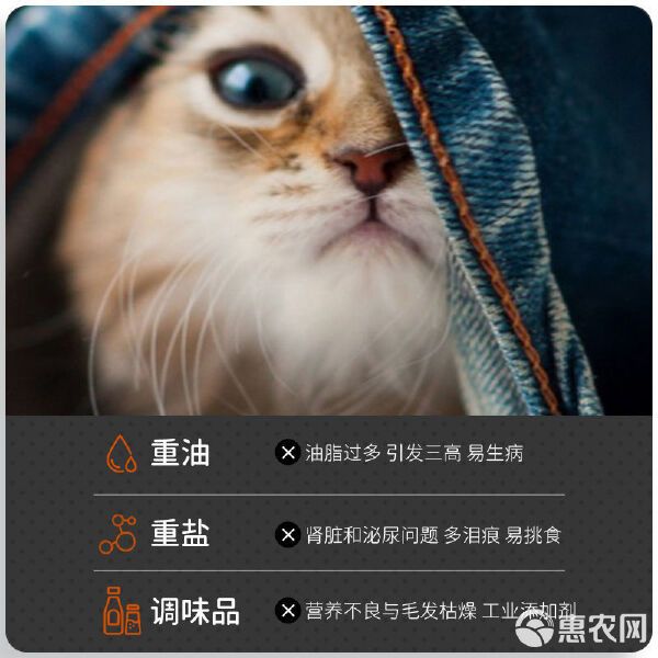 宠物饲料 猫咪猫粮幼猫成猫大袋装猫粮食增肥发腮通用型猫粮批发