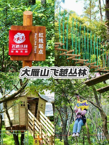 大雁山飞越丛林：强者之路，挑战无限