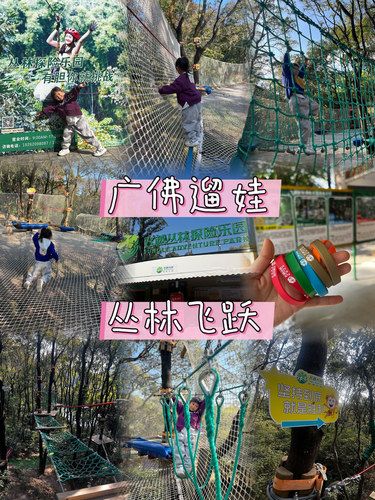 广佛遛娃新玩点| 4岁娃第一次挑战飞越丛林