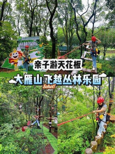 周末遛娃带娃来大雁山做丛林小勇士啦