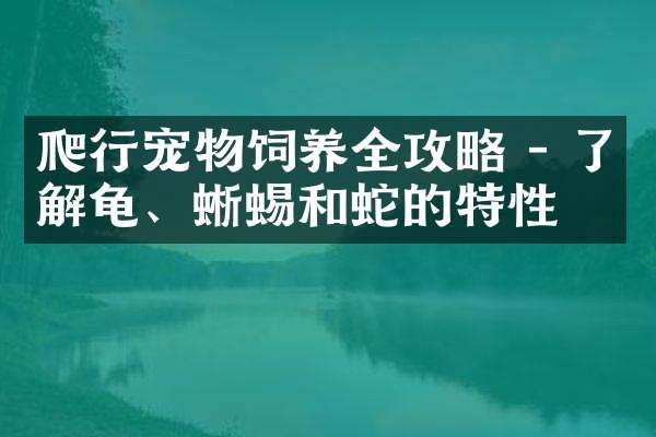 爬行宠物饲养全攻略 - 了解龟、蜥蜴和蛇的特性