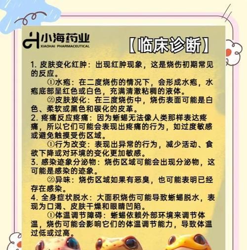蜥蜴的饮水频率及习性（揭秘蜥蜴喝水的时间和方式）