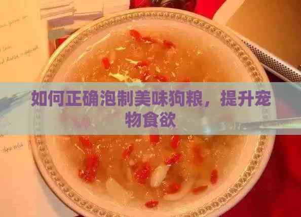如何正确泡制美味狗粮，提升宠物食欲