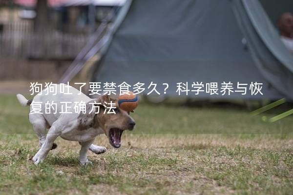 狗狗吐了要禁食多久？科学喂养与恢复的正确方法