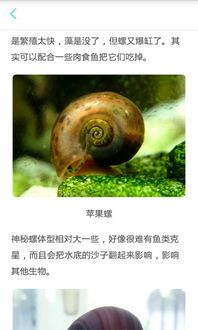 “养鱼达人，宠物心得分享”