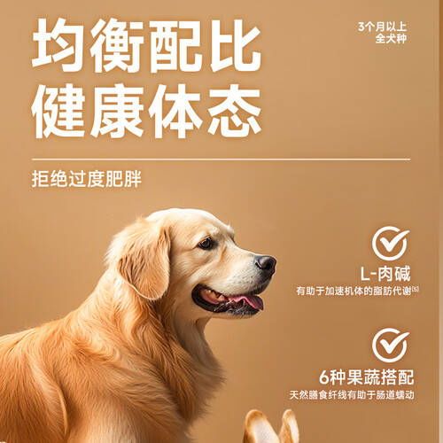 宠物狗狗选什么狗粮好？