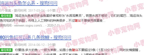 蛇仔鱼为什么不建议养