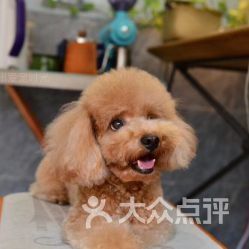 广州宠物俱乐部,宠物乐园首选!