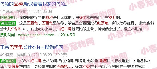 巴西龟有多少个品种及图片