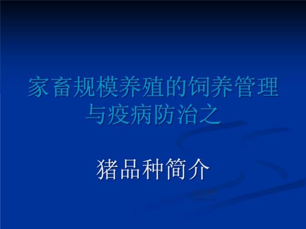 第一讲：猪品种简介_第2页