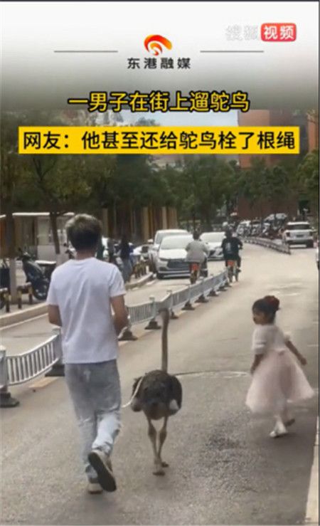 东东在街头遛鸵鸟被市民拍下 视频截图 东东把他的鸵鸟羽毛染成了白色 受访者供图