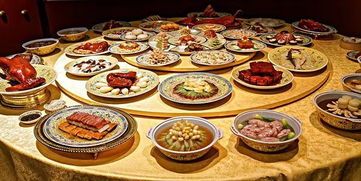 宠物饮食:15天营养均衡,健康成长计划