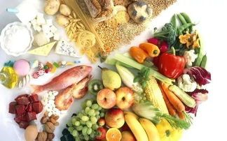 宠物饮食:15天营养均衡,健康成长计划