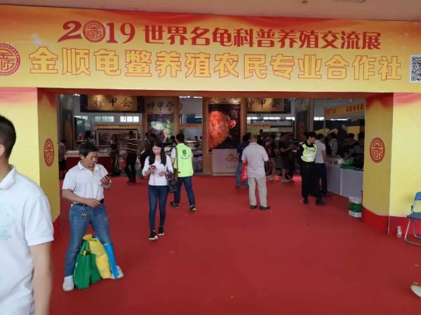 2019第五届世界名龟科普养殖交流展