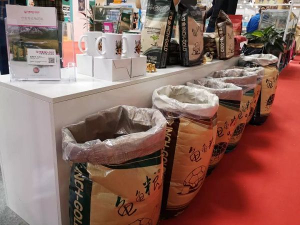 2019第五届世界名龟科普养殖交流展