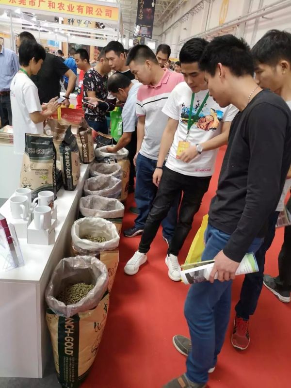 2019第五届世界名龟科普养殖交流展