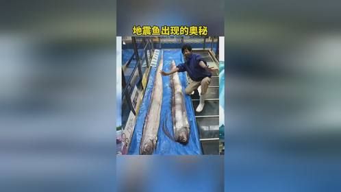 地震鱼出现的奥秘