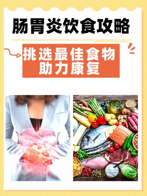 小猫肠炎营养菜谱,健康饮食助康复