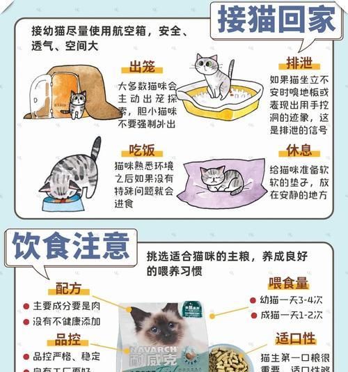 幼猫日常猫粮饮食安排指南：喂食频率和食物选择？