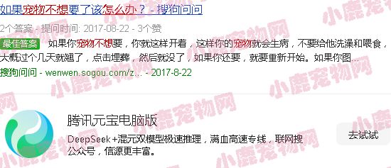 宠物蛇不想养了怎么办