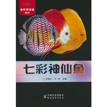 七彩神仙鱼(家养观赏鱼系列)
