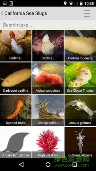 inaturalist(动物昆虫识别) v1.4.6 安卓版 1