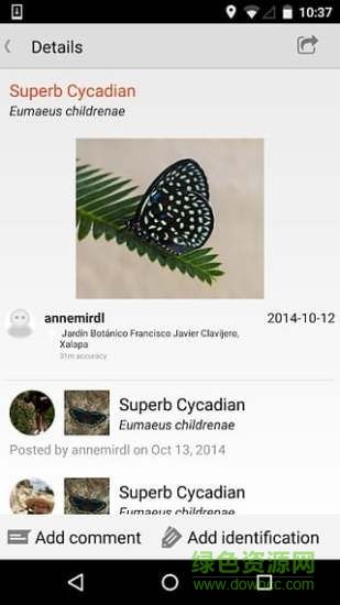 inaturalist(动物昆虫识别) v1.4.6 安卓版 2