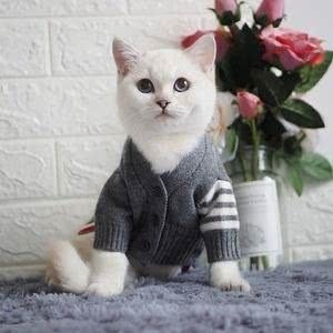 宠物猫衣服怎么制作
