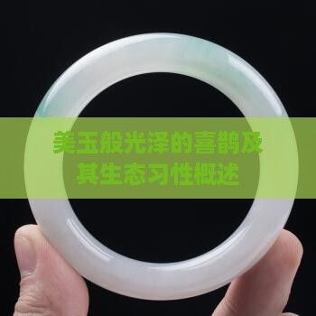 美玉般光泽的喜鹊及其生态习性概述