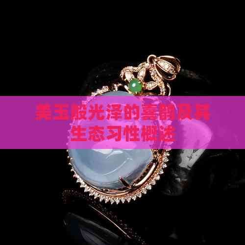 美玉般光泽的喜鹊及其生态习性概述