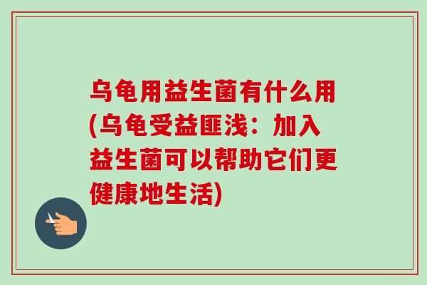 乌龟用益生菌有什么用(乌龟受益匪浅:加入益生菌可以帮助它们更健康地生活)