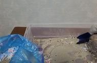 仓鼠笼子布置,打造舒适安全的生活环境