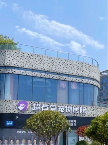 宠物医技哪家强?看这里~