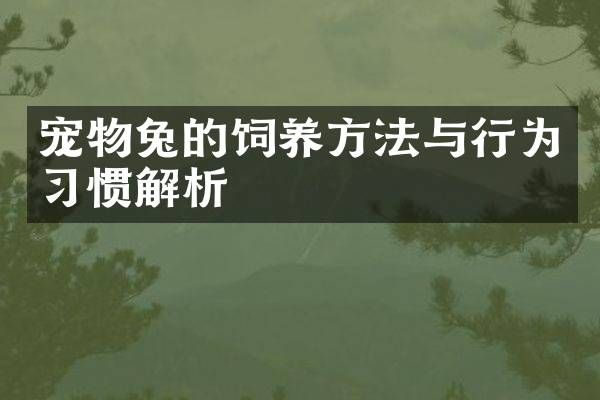 宠物兔的饲养方法与行为习惯解析