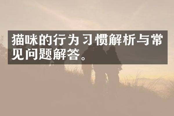 猫咪的行为习惯解析与常见问题解答。