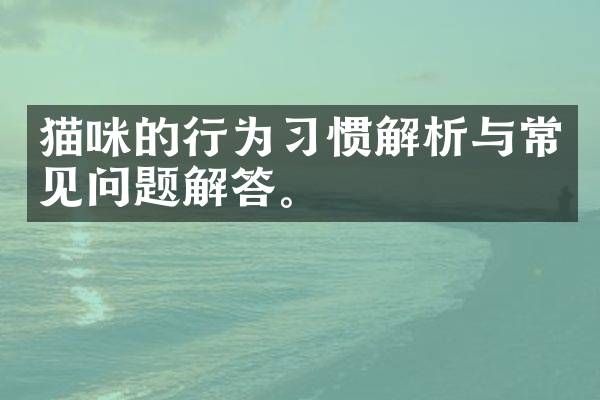 猫咪的行为习惯解析与常见问题解答。