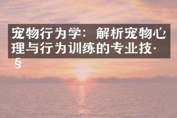 宠物行为学:解析宠物心理与行为训练的专业技巧