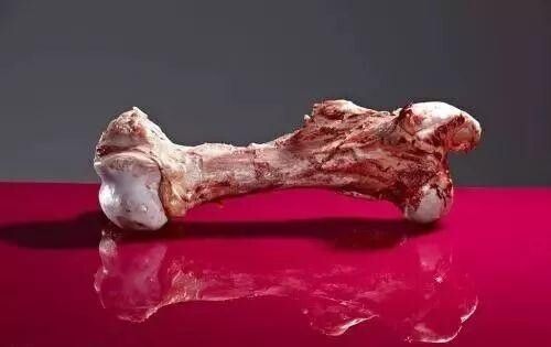 自制猫饭需要添加什么营养素?营养均衡的猫饭制作方法