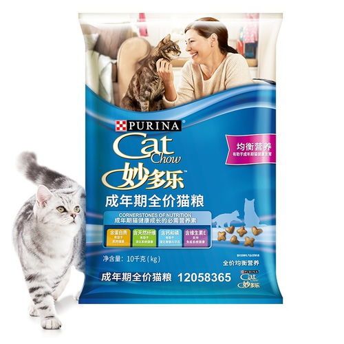 四个月德猫粮:适量分餐,营养均衡。