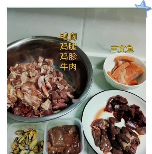 猫咪营养饭搭配什么猫粮?如何确保营养均衡?