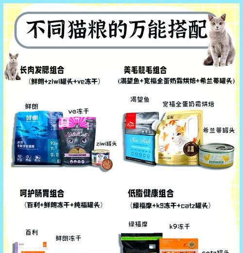 猫咪营养饭搭配什么猫粮?如何确保营养均衡?