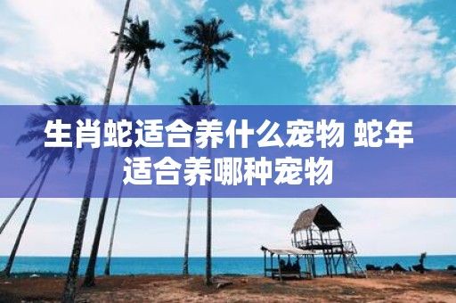 生肖蛇适合养什么宠物 蛇年适合养哪种宠物