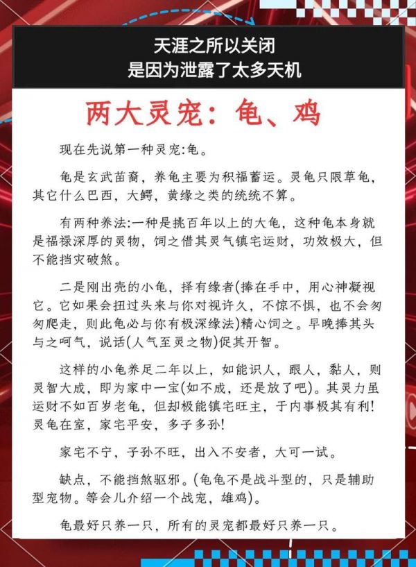 乌龟养几年以上通灵:乌龟养多久会有“灵性”